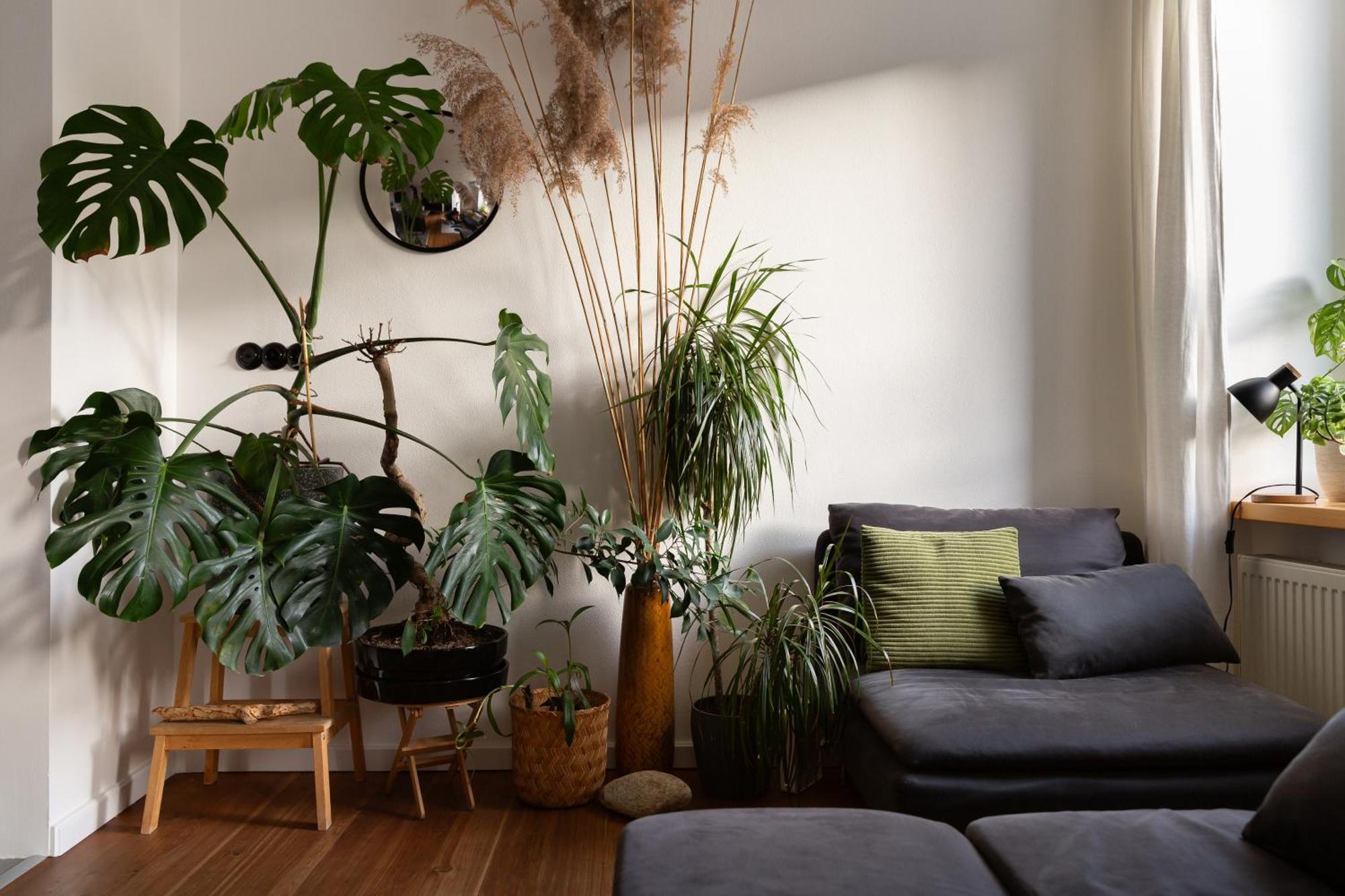 Evergreen - Old Town Spacious Stylish Apartment With Ac And One And A Half Bath, Baby & Kid- Friendly Братислава Екстериор снимка