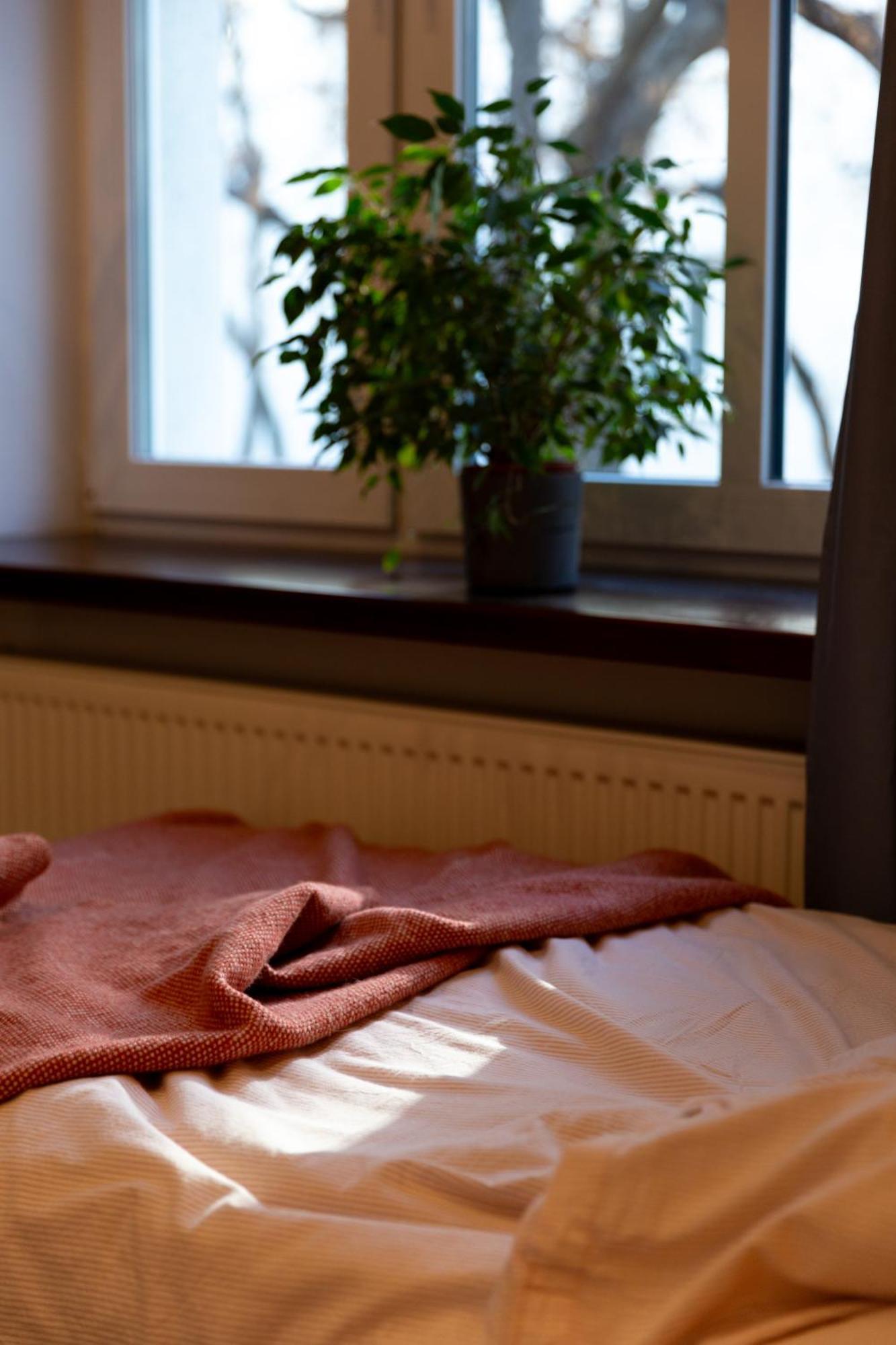 Evergreen - Old Town Spacious Stylish Apartment With Ac And One And A Half Bath, Baby & Kid- Friendly Братислава Екстериор снимка