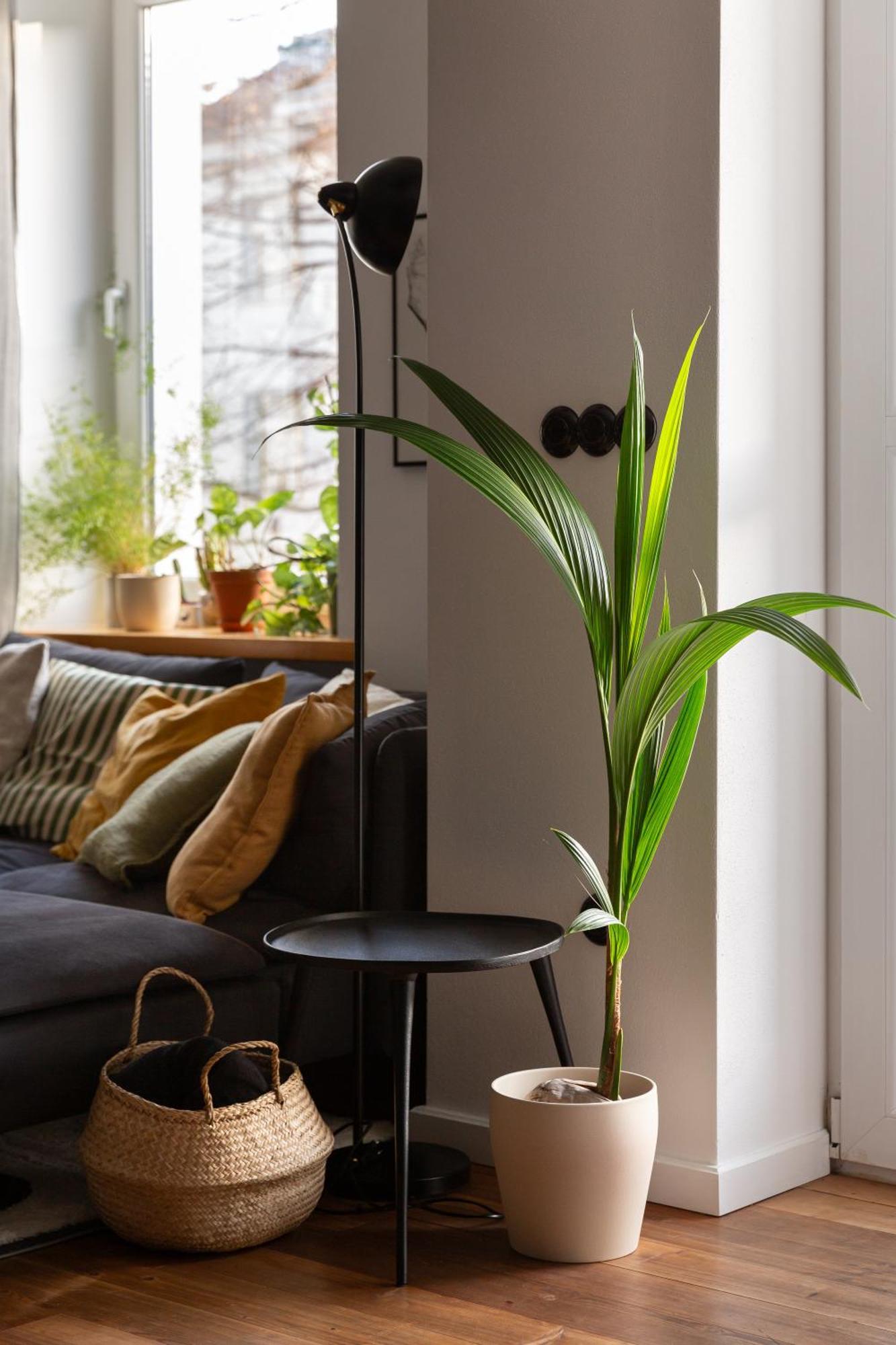 Evergreen - Old Town Spacious Stylish Apartment With Ac And One And A Half Bath, Baby & Kid- Friendly Братислава Екстериор снимка