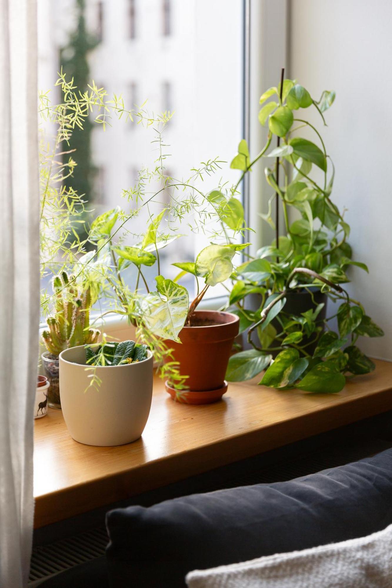 Evergreen - Old Town Spacious Stylish Apartment With Ac And One And A Half Bath, Baby & Kid- Friendly Братислава Екстериор снимка